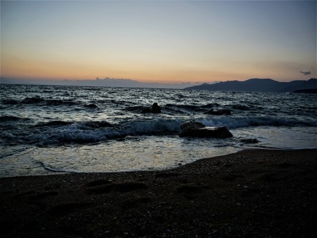 DSC00935
