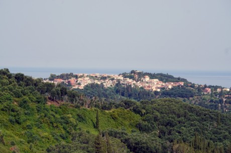 DSC01784