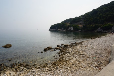 DSC04436