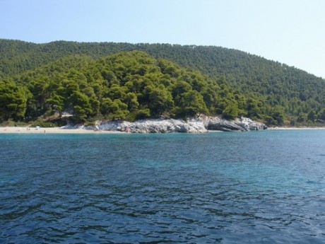 DSC03084.JPG