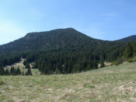 DSC04555.JPG