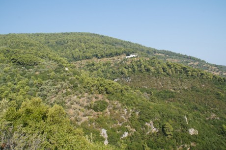 DSC01044