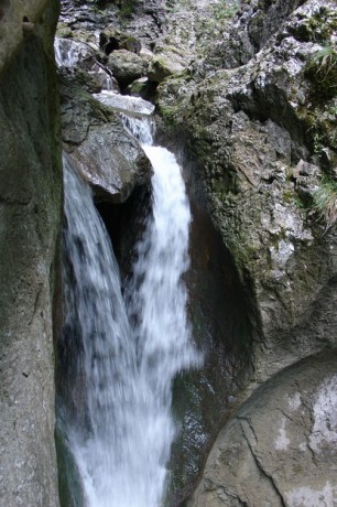 DSC02608.JPG