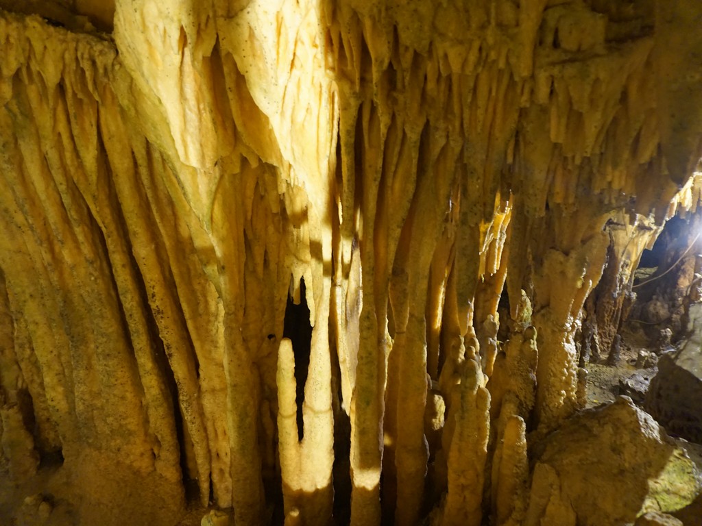 DSC00552