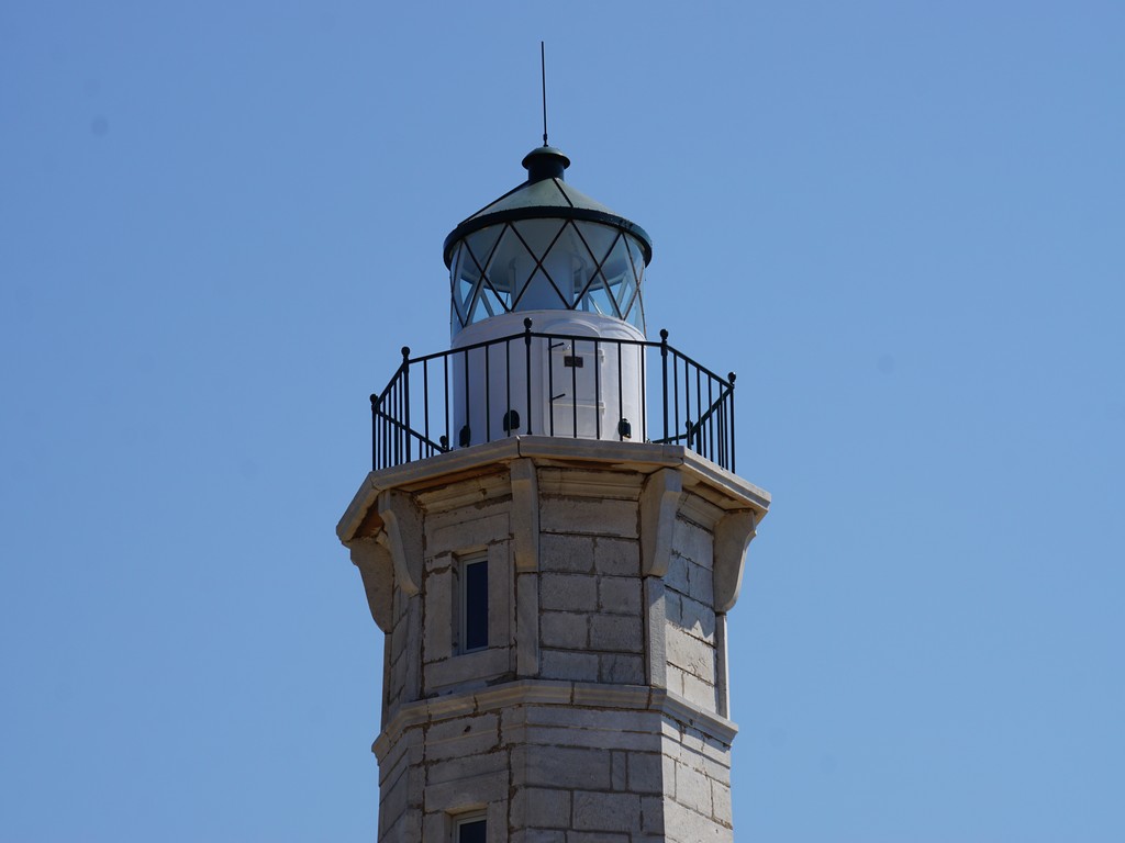 DSC00786