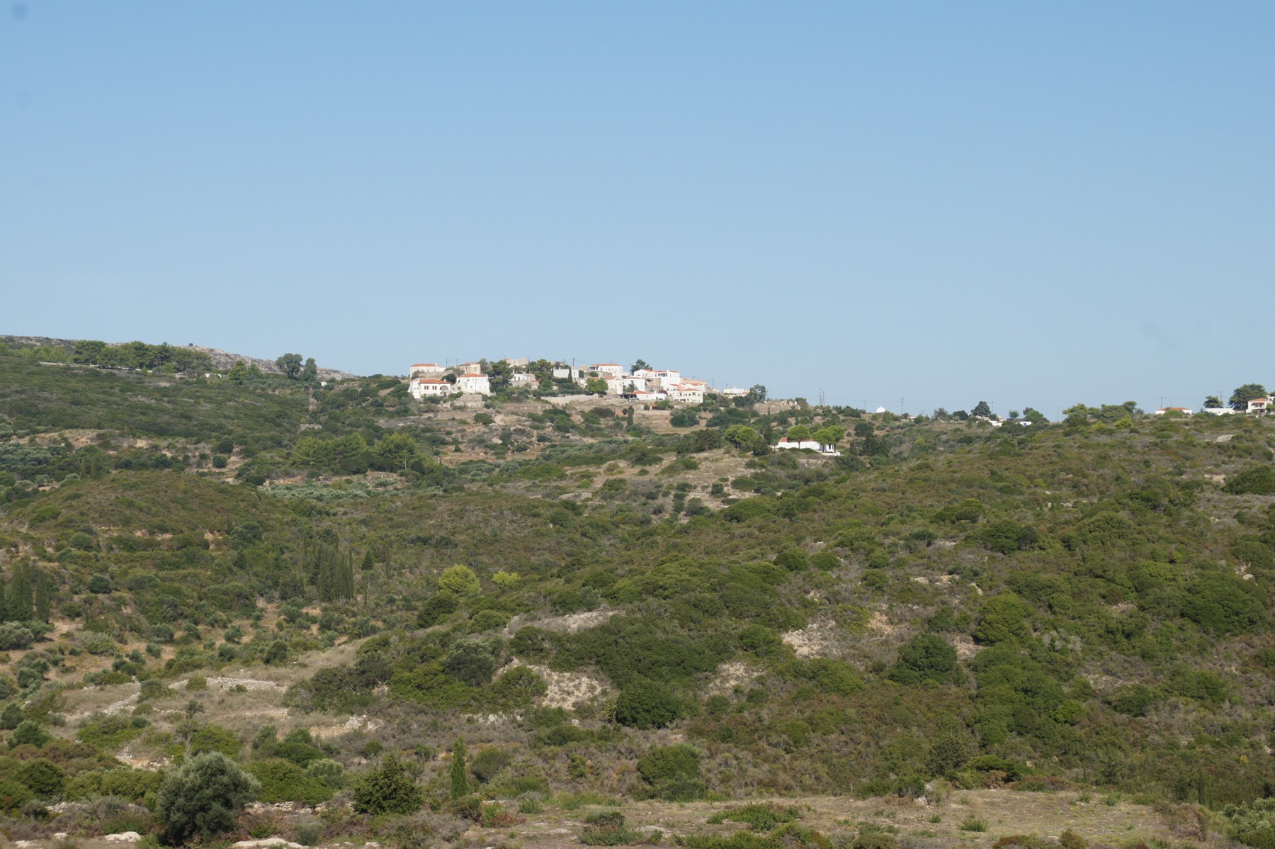DSC06353