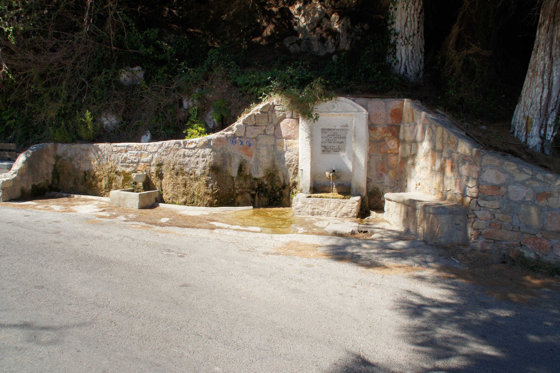 DSC06410