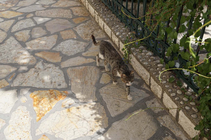 DSC01938