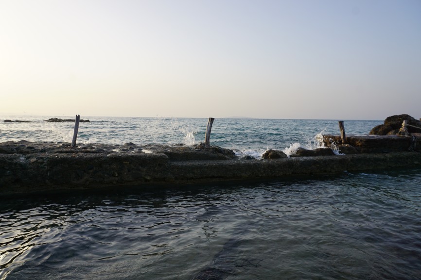 DSC02298