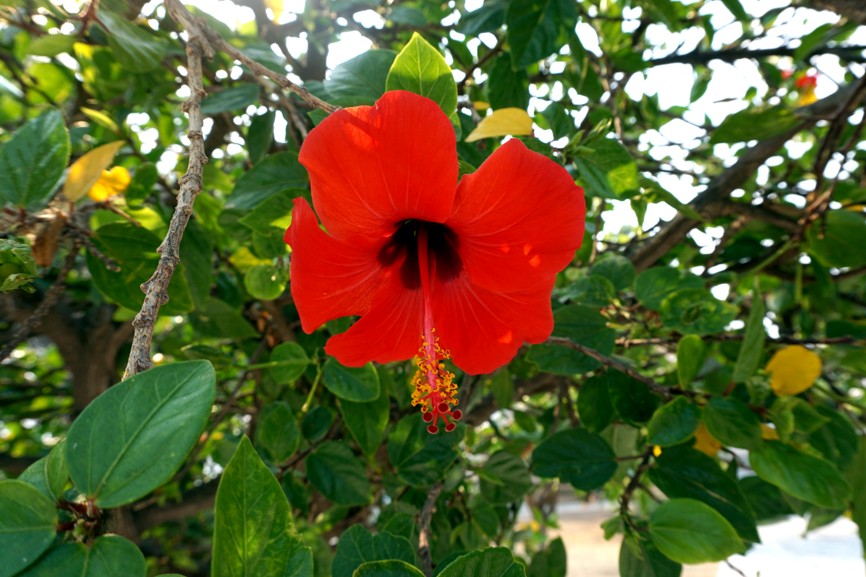 DSC04434