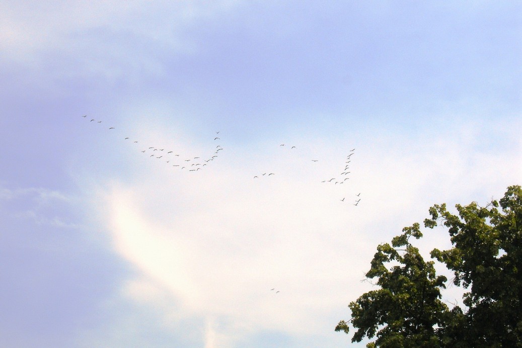 DSC09522.JPG