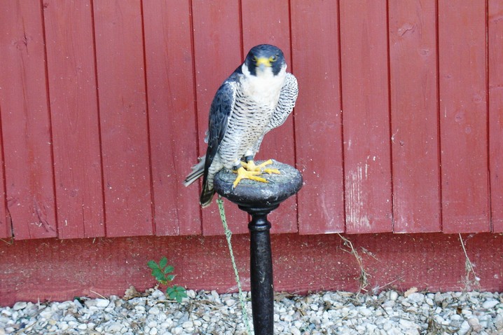 DSC09444.JPG