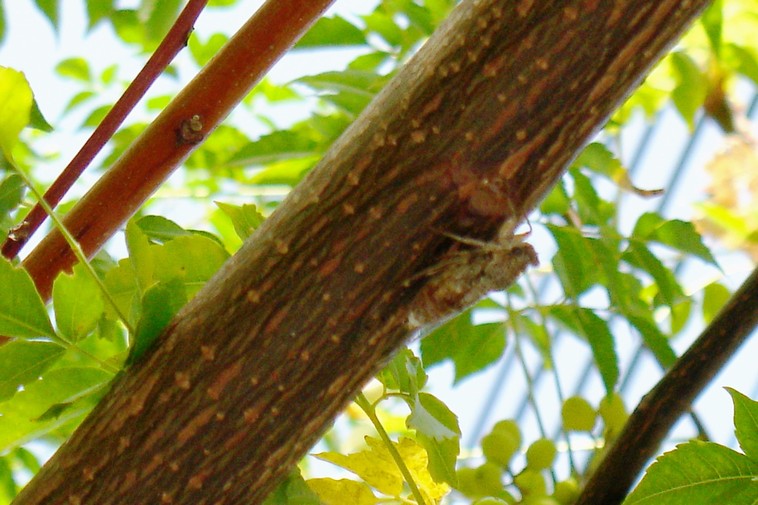 DSC09829.JPG