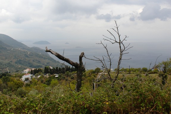 DSC02704.JPG