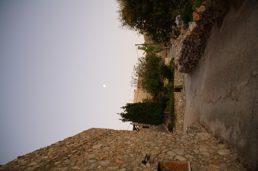 DSC02269