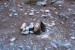 DSC00595.JPG
