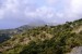 DSC01190.JPG