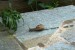 DSC01263.JPG