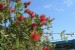 DSC03121.JPG