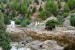 DSC00575.JPG